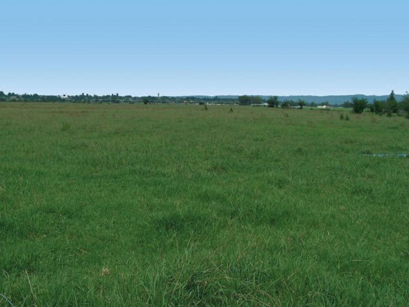 4 Dight Street, Richmond NSW 2753