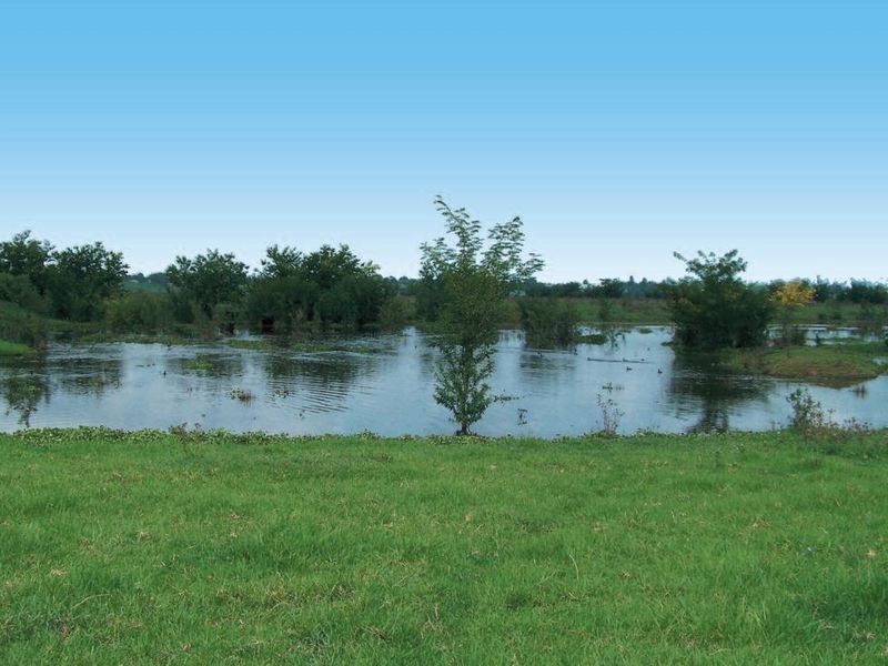 4 Dight Street, Richmond NSW 2753