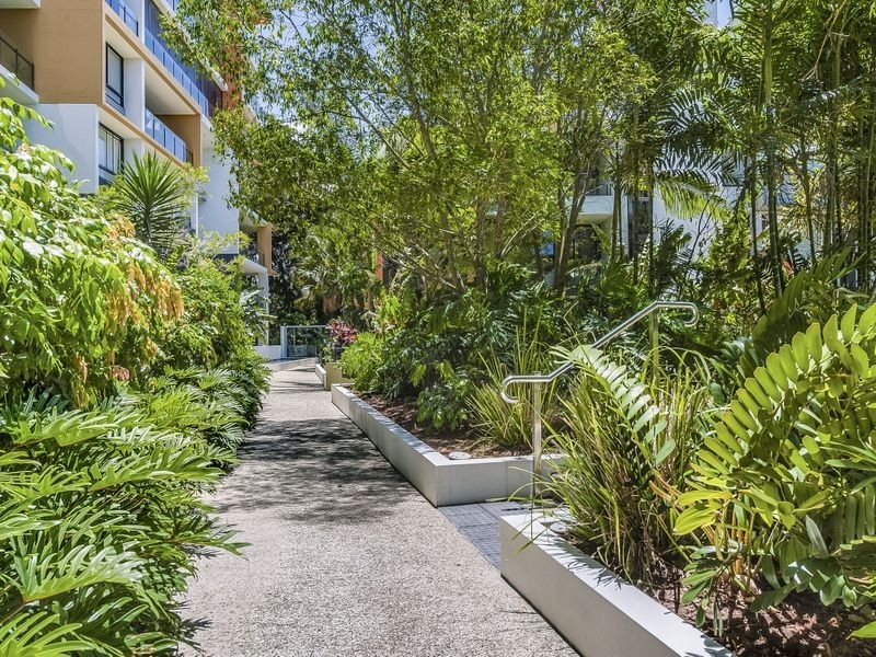 102/10 Pidgeon Close, West End QLD 4101