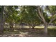 117 Indooroopilly Road, Taringa QLD 4068