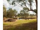 137 Graham Road, Rossmore NSW 2557