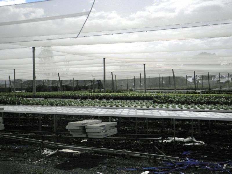 Austral NSW 2179