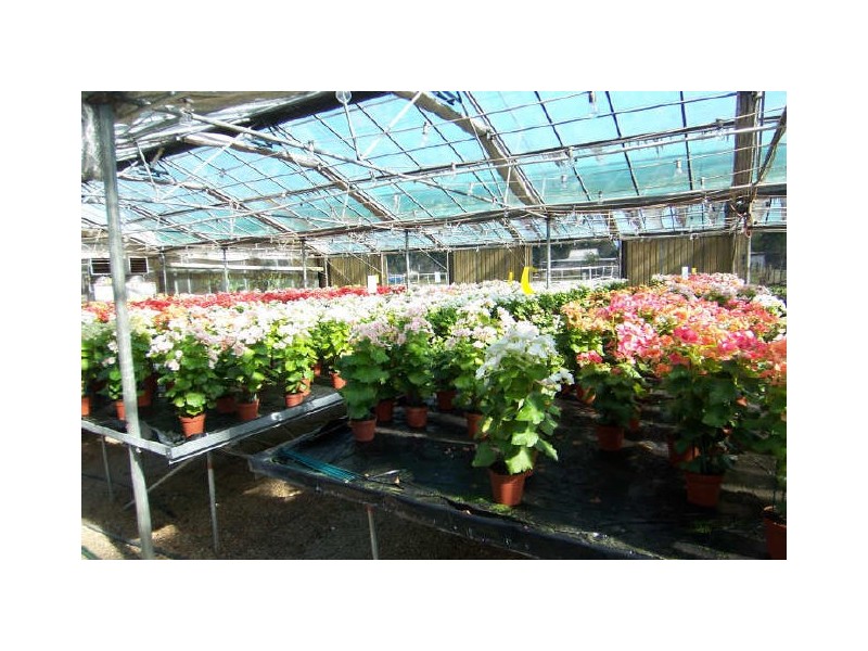 Kemps Creek NSW 2178