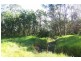 395 Fourteenth Ave, Austral NSW 2179