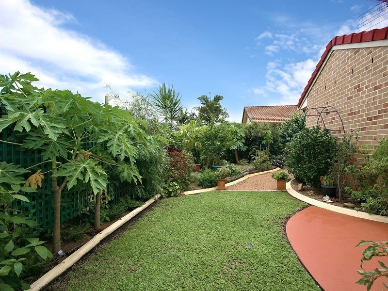 31 Hoya Crescent, Bongaree QLD 4507
