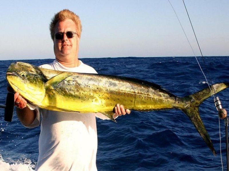 1/55 Marina Boulevard, Banksia Beach QLD 4507