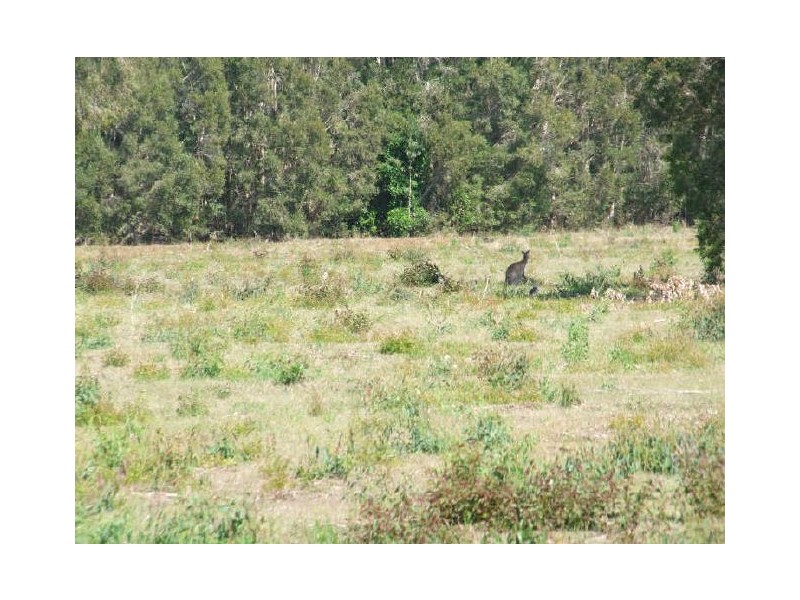 49 Esplanade, Toorbul QLD 4510