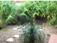 4 Albatross Court, Banksia Beach QLD 4507