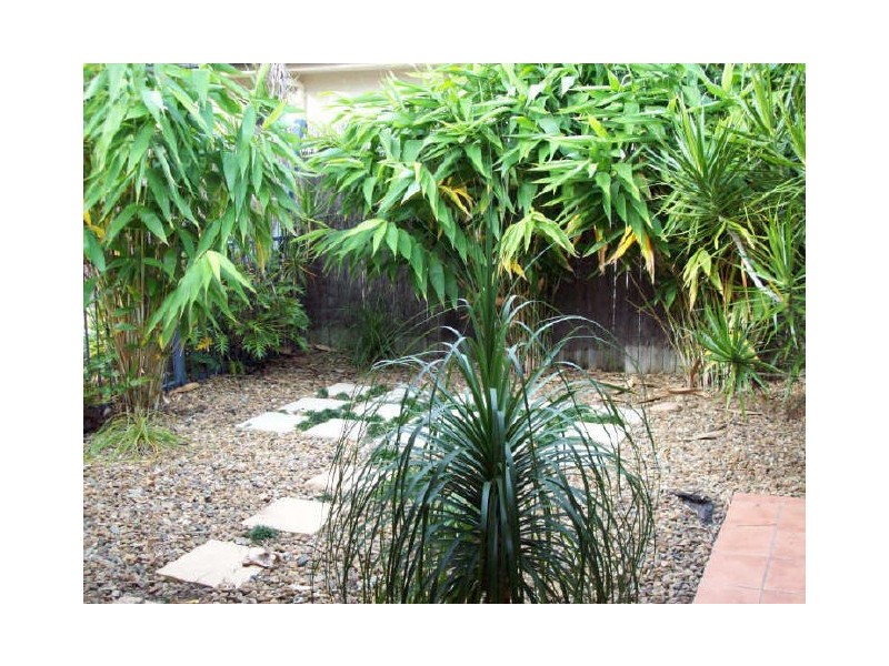 4 Albatross Court, Banksia Beach QLD 4507