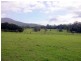 Moorland NSW 2443