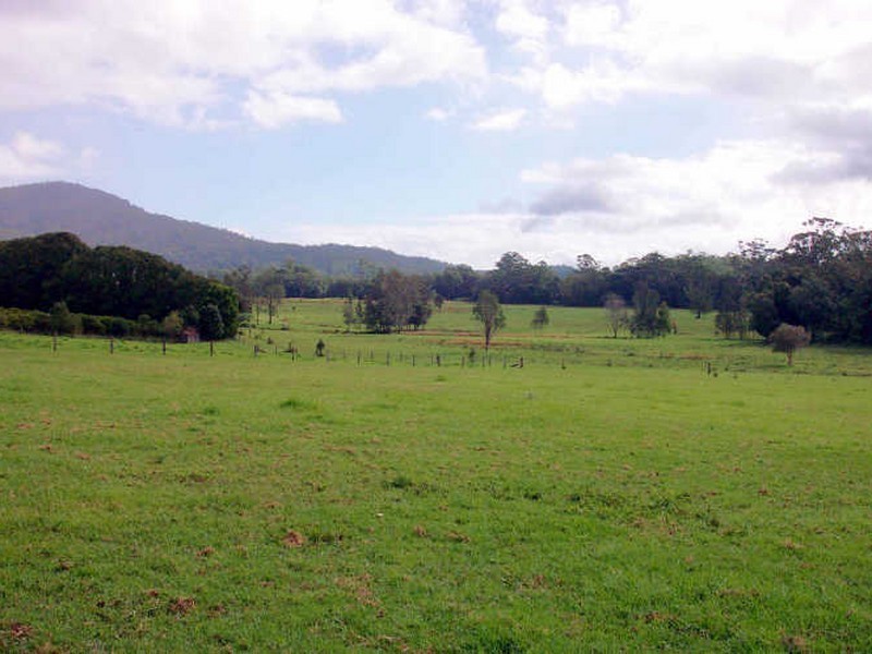 Moorland NSW 2443