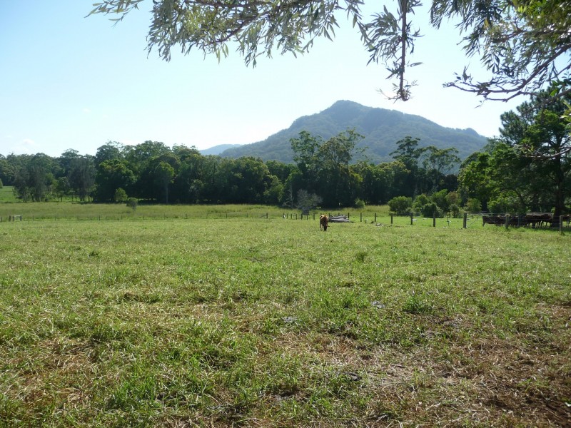 Moorland NSW 2443