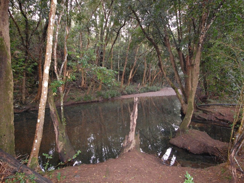 Wherrol Flat NSW 2429