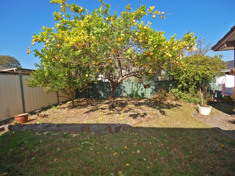 11 Bluegum Avenue, Wingham NSW 2429