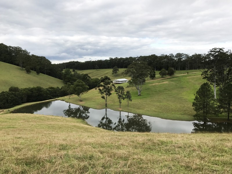 305 West Bulga Road, Elands NSW 2429