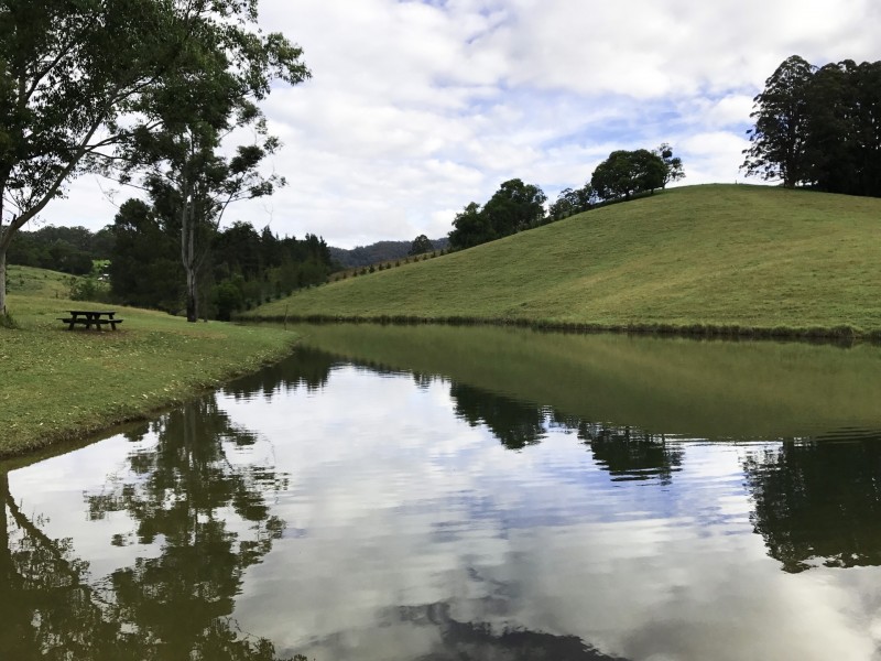 305 West Bulga Road, Elands NSW 2429