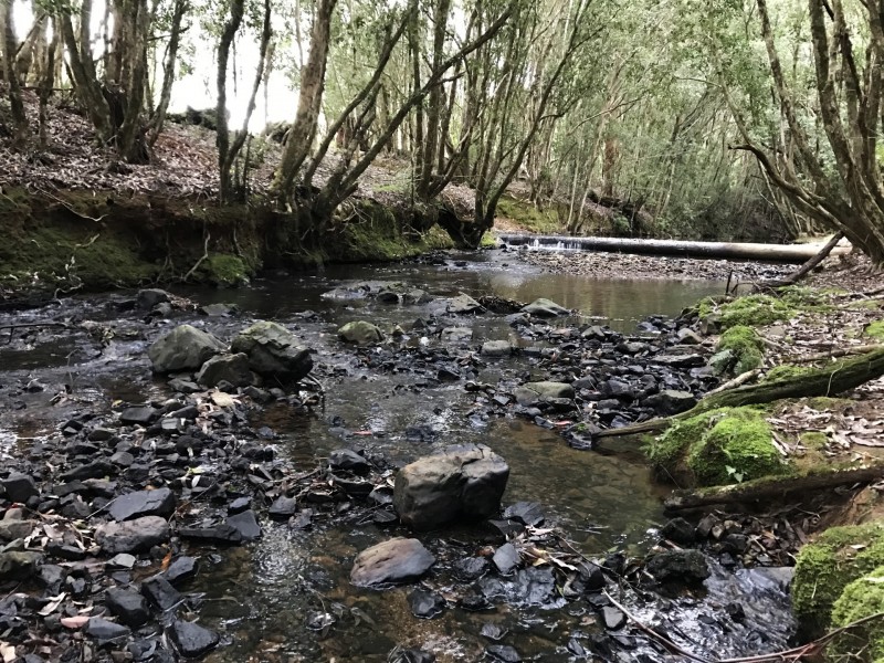 305 West Bulga Road, Elands NSW 2429