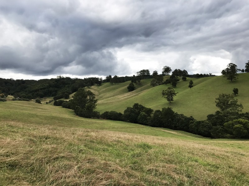 305 West Bulga Road, Elands NSW 2429