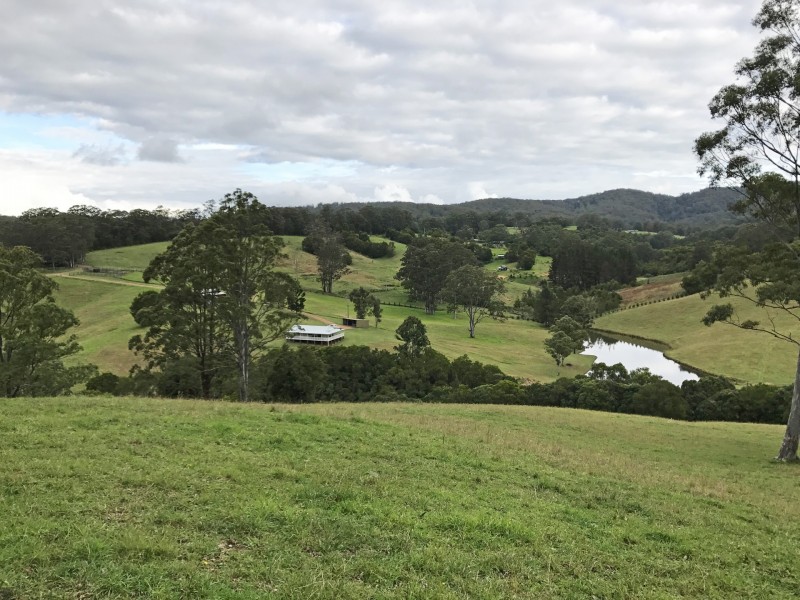 305 West Bulga Road, Elands NSW 2429