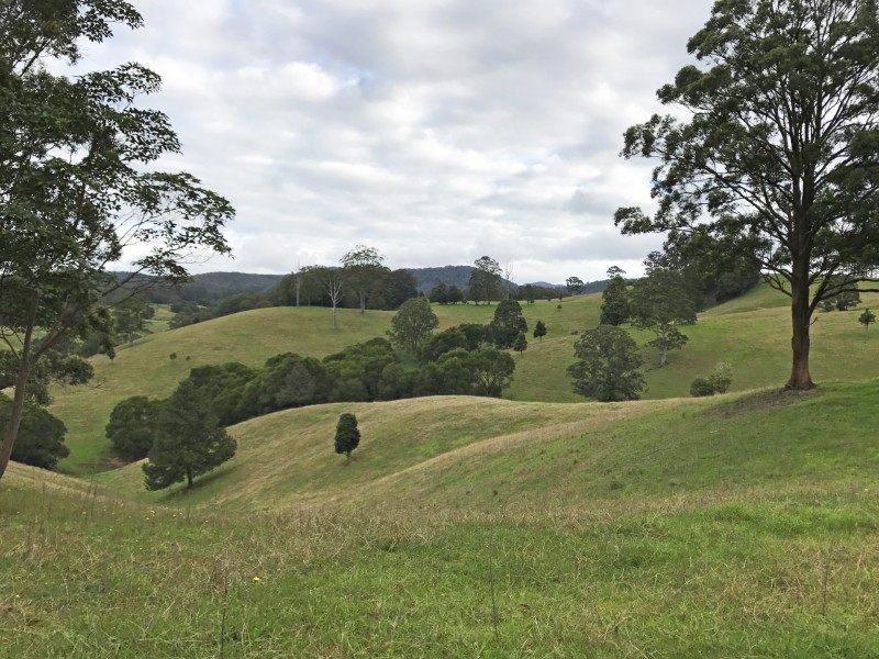 305 West Bulga Road, Elands NSW 2429