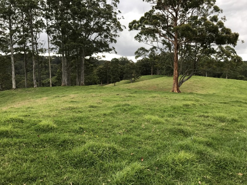 305 West Bulga Road, Elands NSW 2429