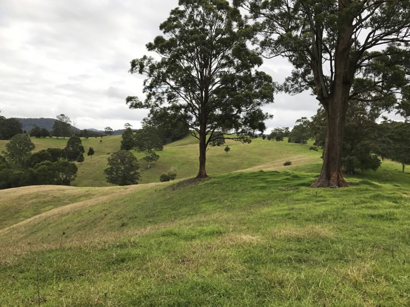 305 West Bulga Road, Elands NSW 2429