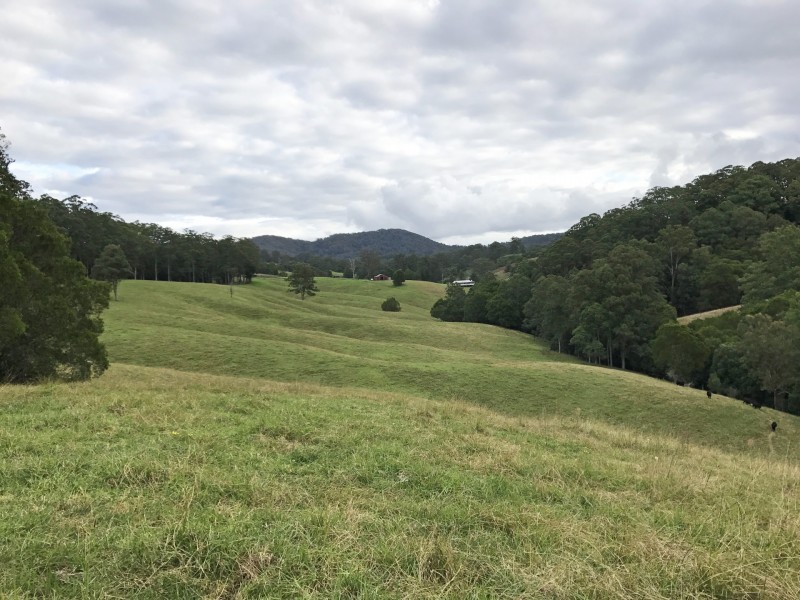 305 West Bulga Road, Elands NSW 2429