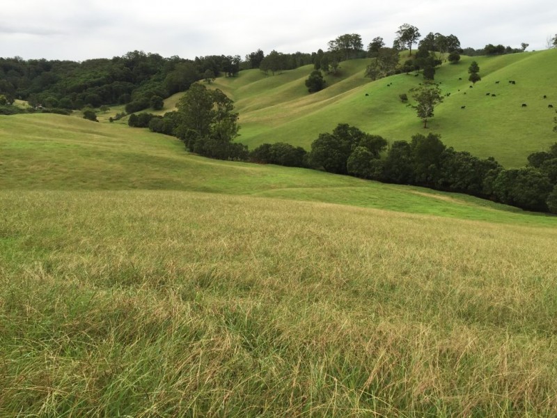 305 West Bulga Road, Elands NSW 2429