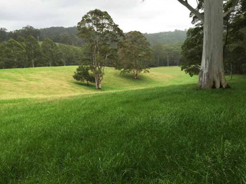 305 West Bulga Road, Elands NSW 2429