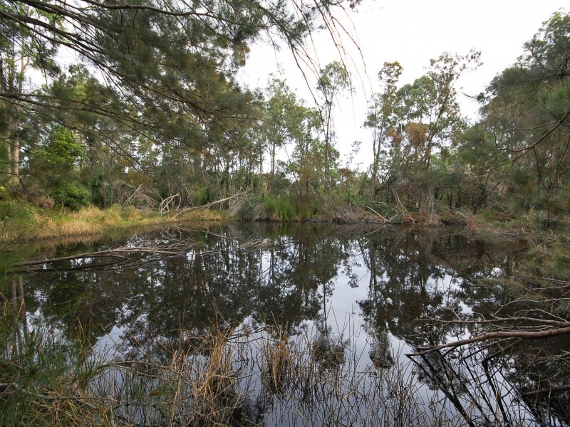 751 Comboyne Road, Cedar Party NSW 2429