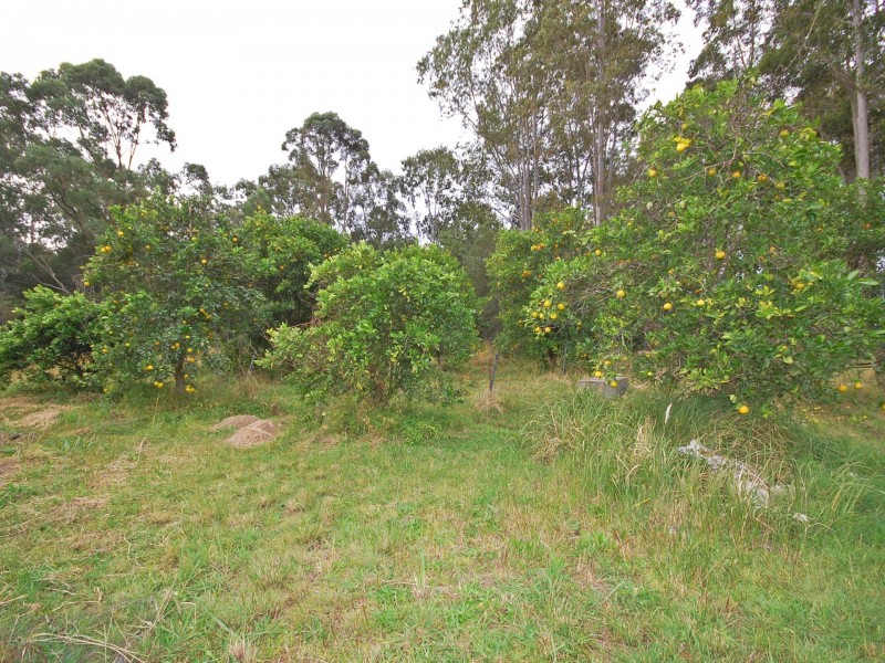 751 Comboyne Road, Cedar Party NSW 2429