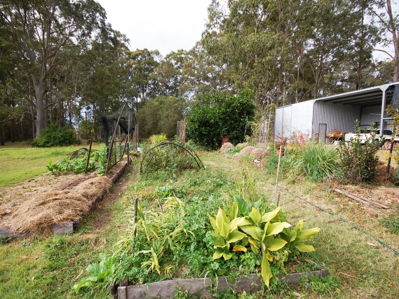 751 Comboyne Road, Cedar Party NSW 2429