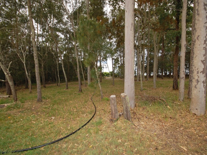 751 Comboyne Road, Cedar Party NSW 2429