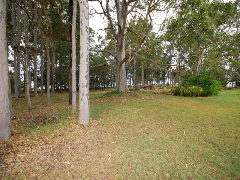 751 Comboyne Road, Cedar Party NSW 2429