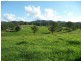 761 Wherrol Flat Road, Wherrol Flat NSW 2429