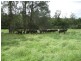 761 Wherrol Flat Road, Wherrol Flat NSW 2429
