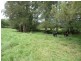 761 Wherrol Flat Road, Wherrol Flat NSW 2429