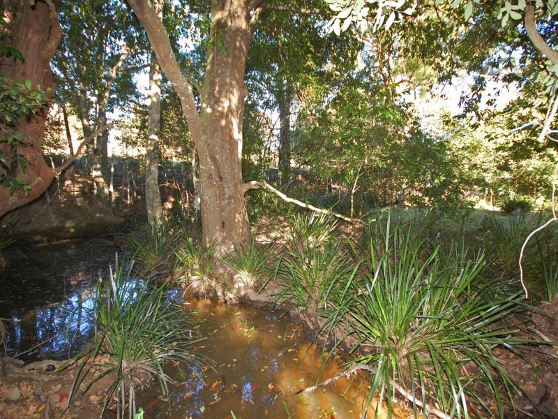 1433 Comboyne Road, Killabakh NSW 2429