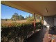 1433 Comboyne Road, Killabakh NSW 2429