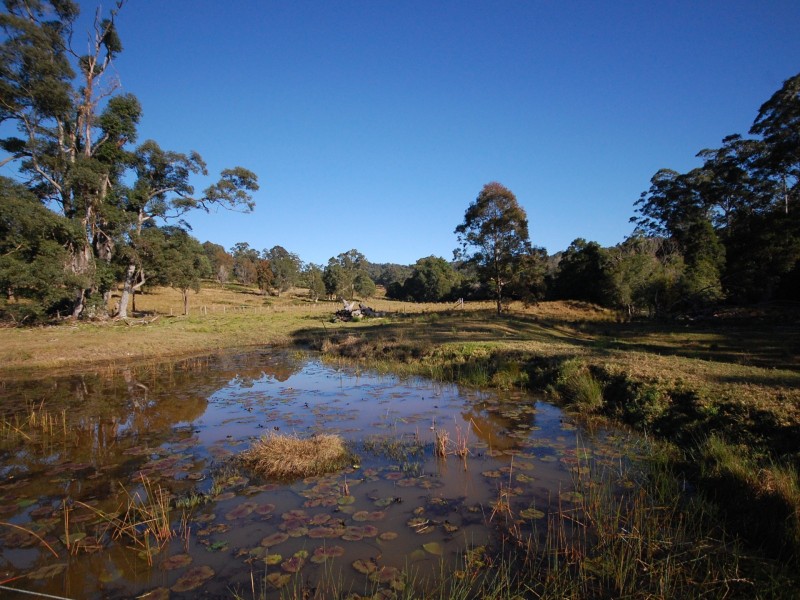 1433 Comboyne Road, Killabakh NSW 2429