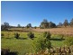 1433 Comboyne Road, Killabakh NSW 2429