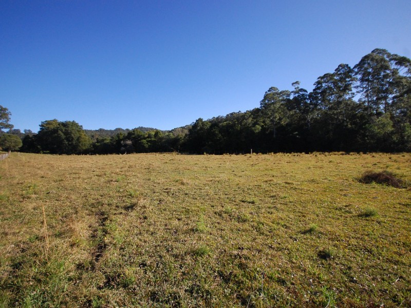 1433 Comboyne Road, Killabakh NSW 2429