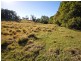 1433 Comboyne Road, Killabakh NSW 2429