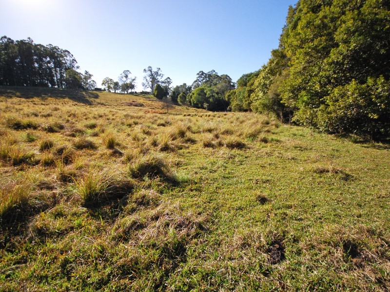 1433 Comboyne Road, Killabakh NSW 2429