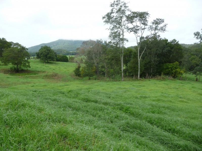 Stewarts River NSW 2443