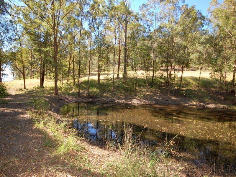 258 Tinonee Road, Wingham NSW 2429