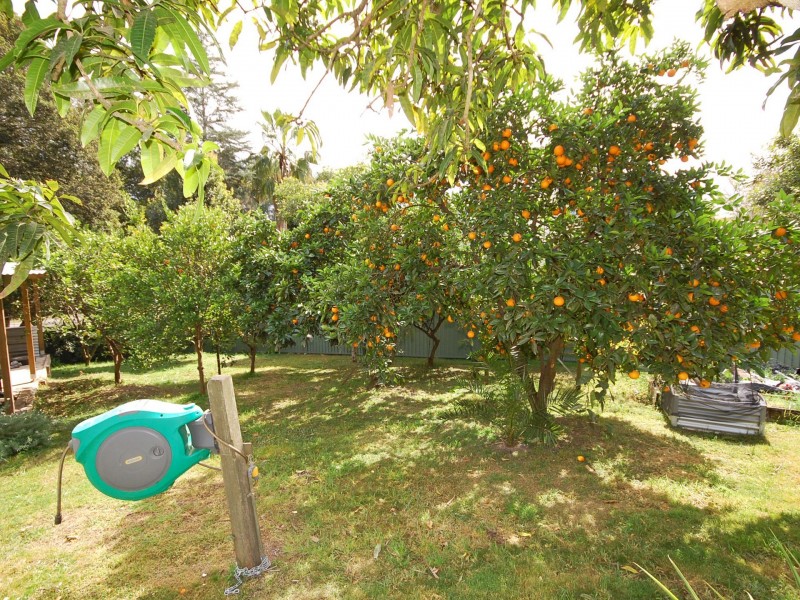 35 Winter Street, Tinonee NSW 2430