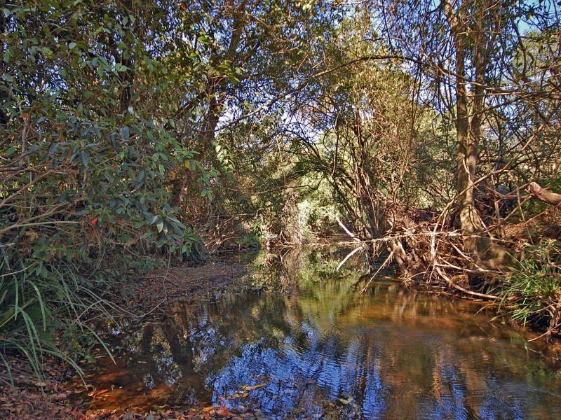 2 Leachs Road, Wingham NSW 2429