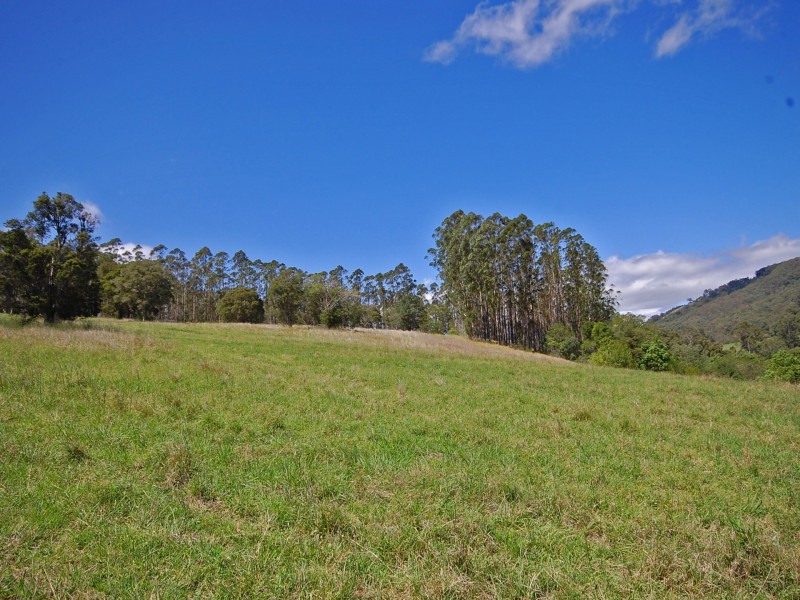 2 Leachs Road, Wingham NSW 2429