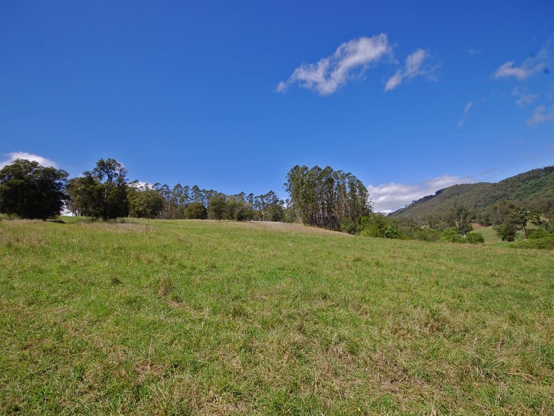 2 Leachs Road, Wingham NSW 2429